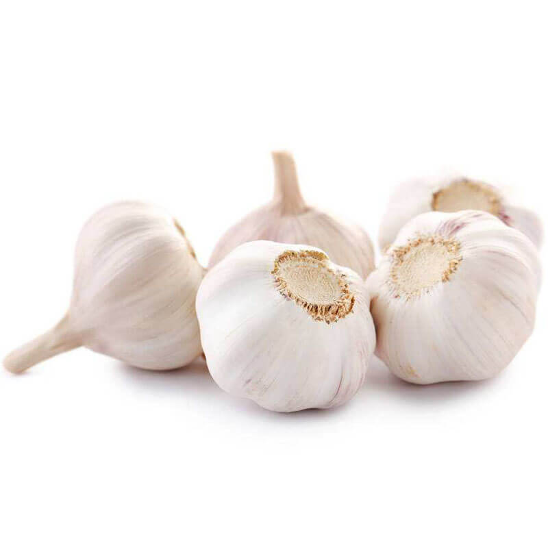 Garlic (রসুণ)